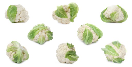 Collage of whole fresh raw cauliflowers on white background