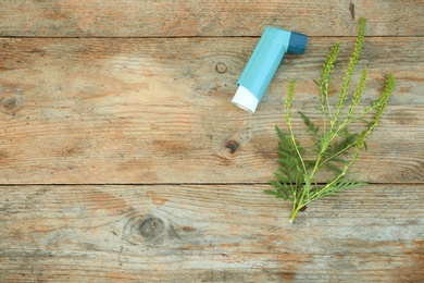 Ragweed (Ambrosia) branch and inhaler on wooden table, flat lay with space for text. Seasonal allergy