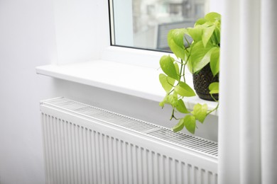 Photo of Beautiful houseplant on window sill and modern radiator at home. Central heating system