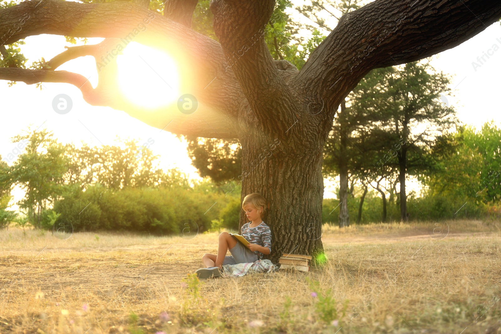 Photo of Cute little boy reading book near tree in park