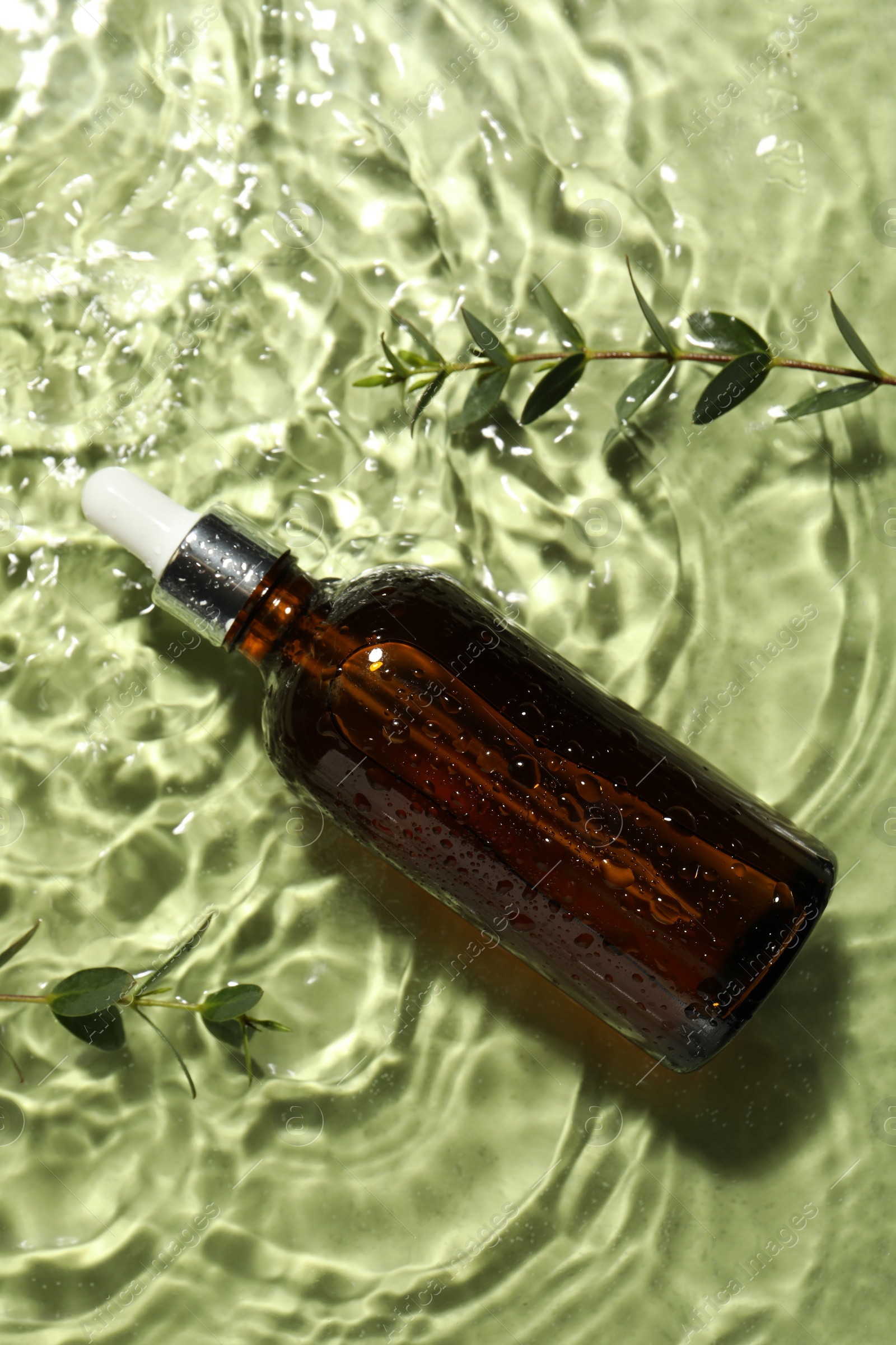 Photo of Bottle of hydrophilic oil and plant twigs in water on light green background, flat lay