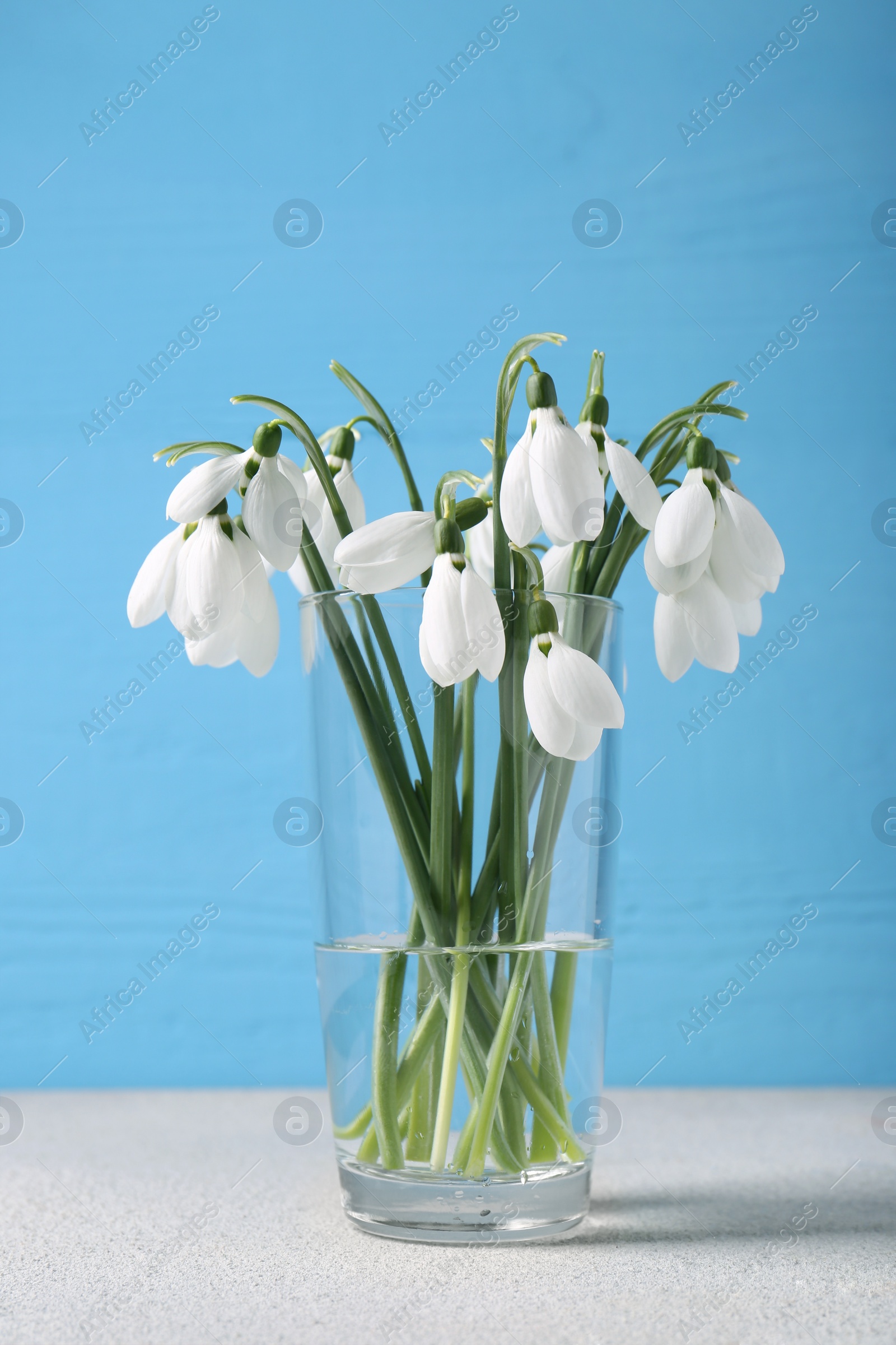 Photo of Beautiful snowdrops in vase on light grey table