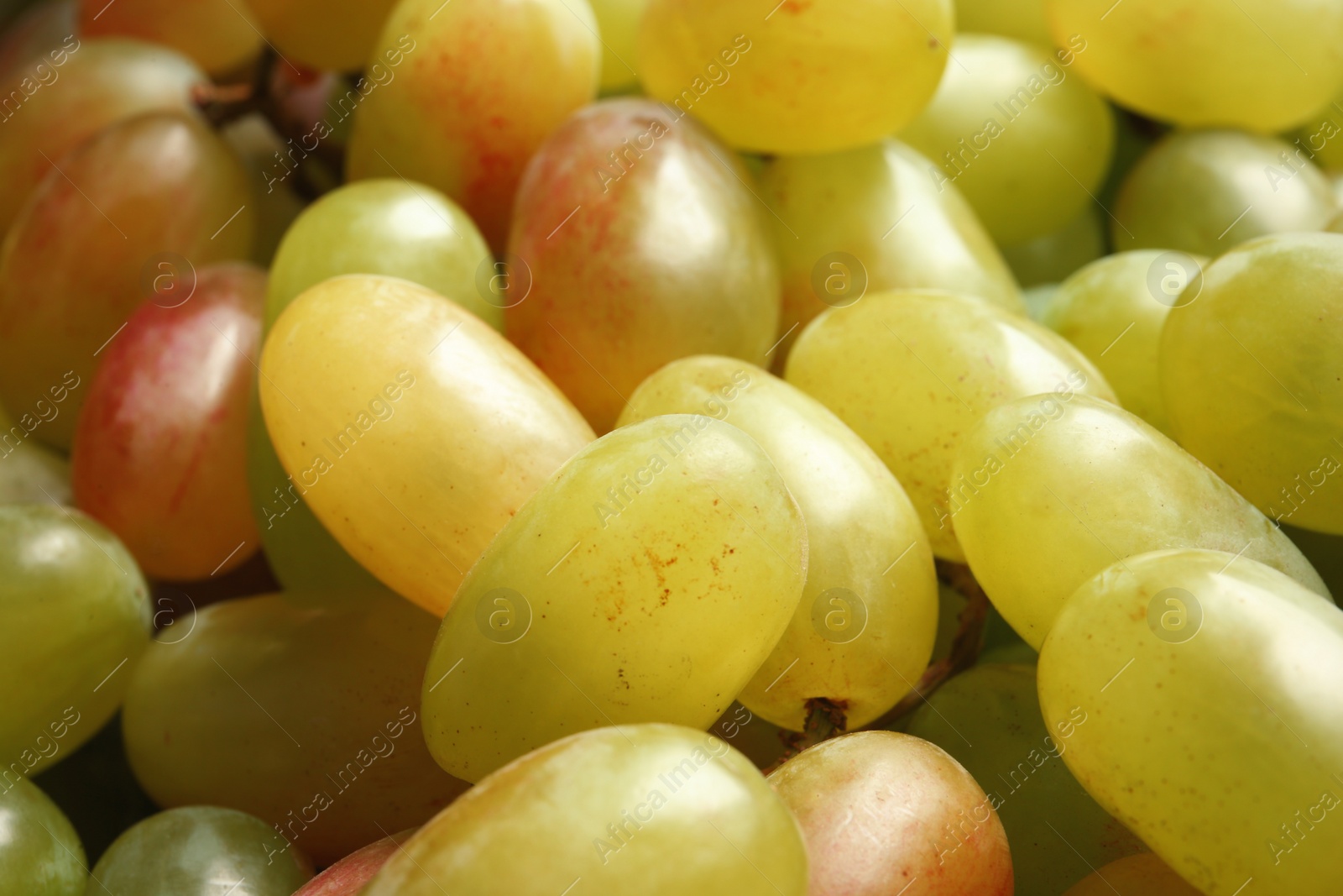 Photo of Fresh ripe juicy grapes as background, closeup