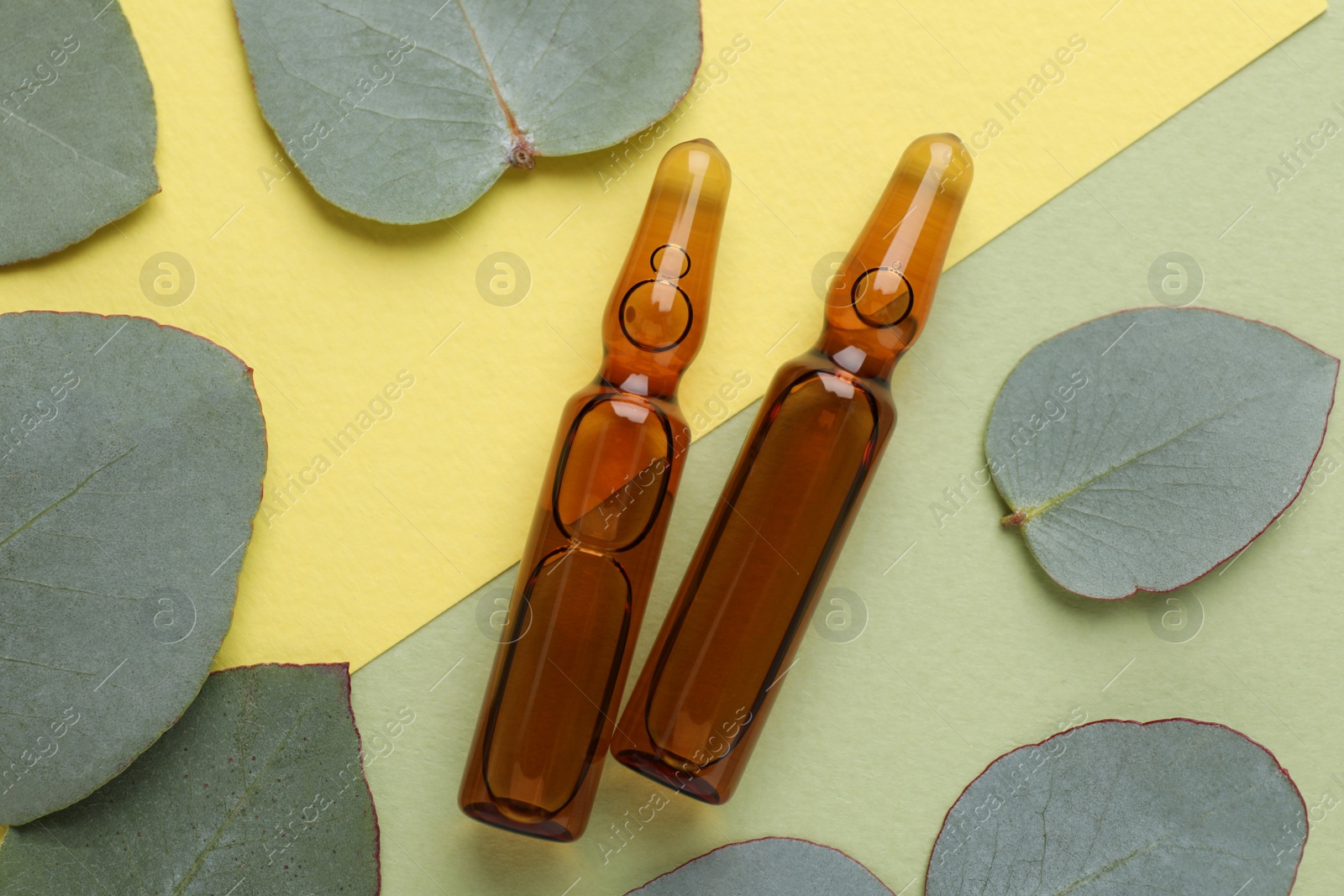 Photo of Pharmaceutical ampoules with medication and eucalyptus leaves on color background, flat lay