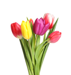 Beautiful bright spring tulips on white background