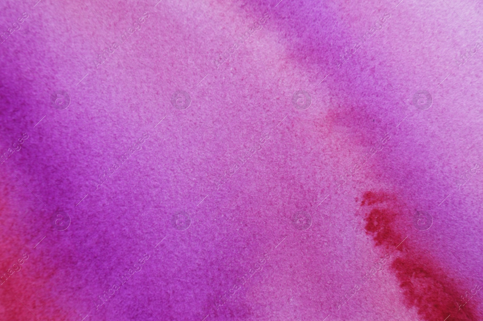 Photo of Abstract magenta watercolor painting as background, top view