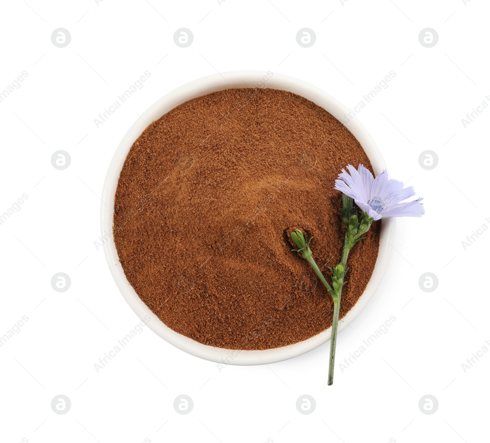 Photo of Plate of chicory powder and flower on white background, top view