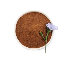 Plate of chicory powder and flower on white background, top view
