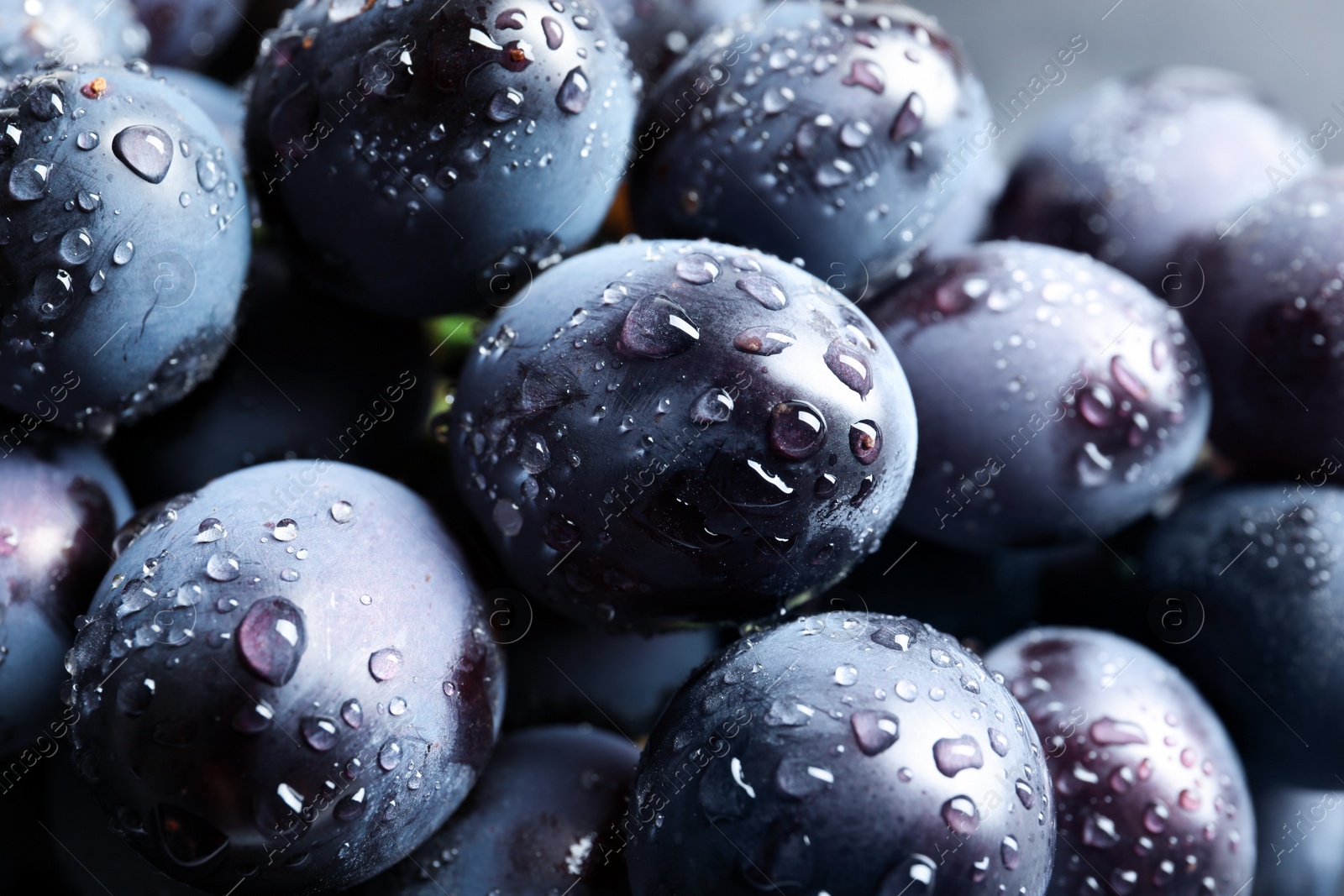 Photo of Bunch of fresh ripe juicy grapes as background. Closeup view