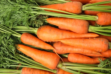 Photo of Fresh ripe carrots as background, top view