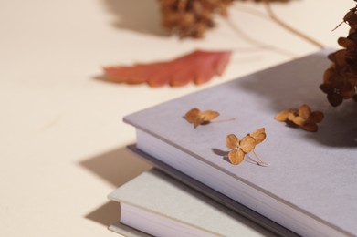 Photo of Dried hortensia flowers and books on beige table, closeup