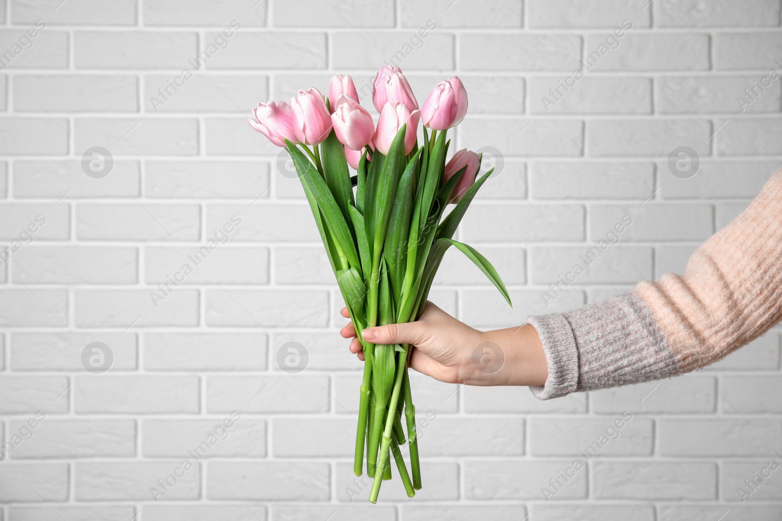 Photo of Woman with beautiful pink spring tulips near white brick wall, closeup