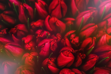 Image of Beautiful bouquet of tulip flowers as background, closeup