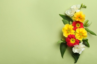 Photo of Primrose Primula Vulgaris flowers on green background, top view with space for text. Spring season