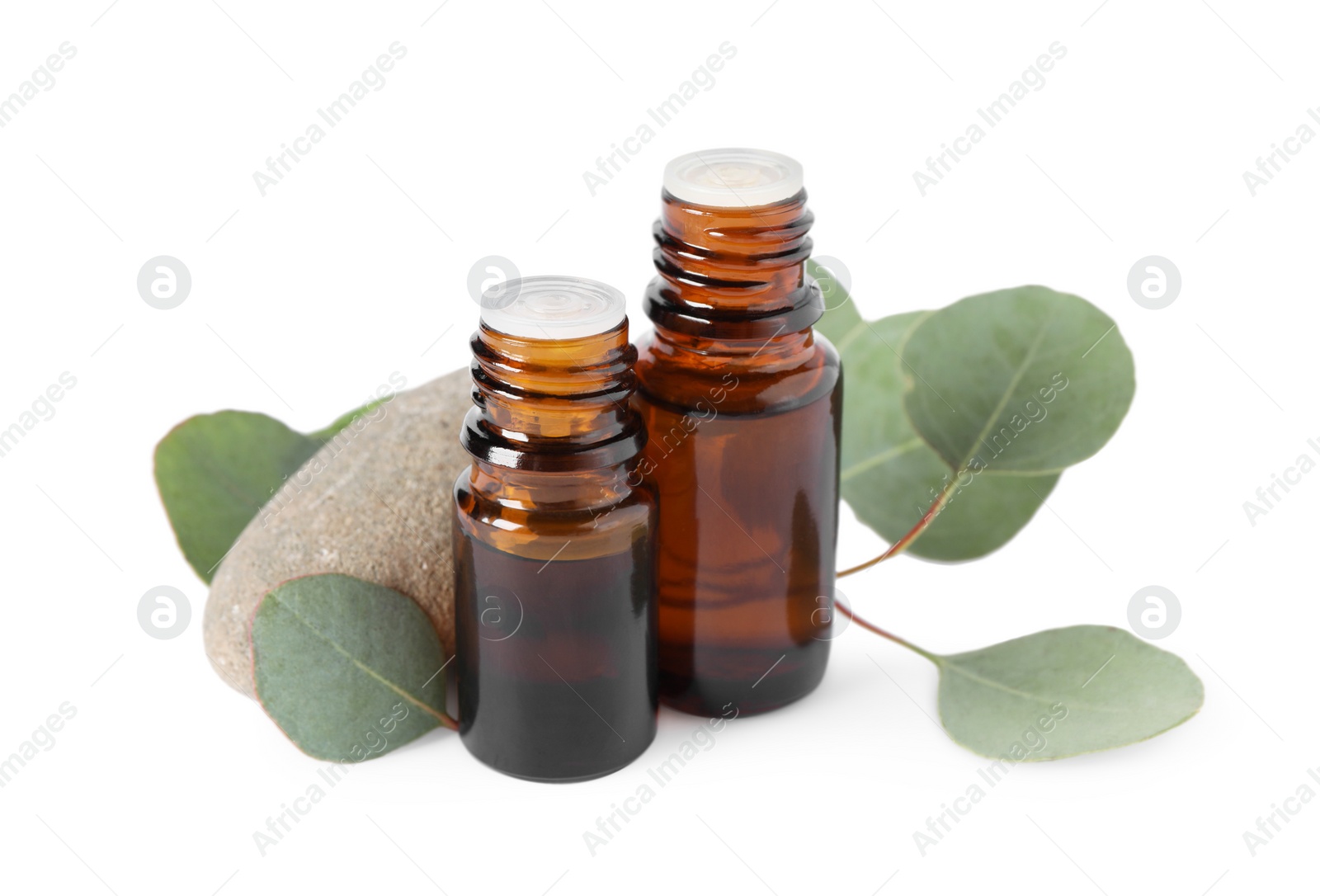 Photo of Bottles of eucalyptus essential oil, stone and plant branches on white background