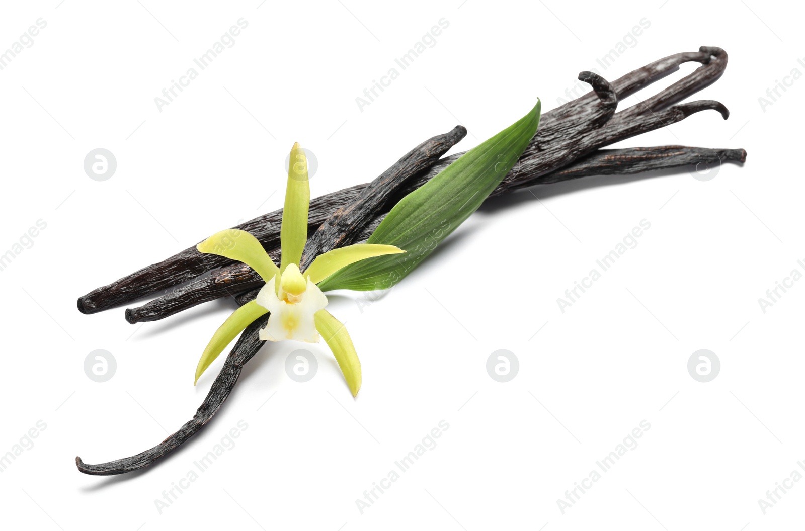 Photo of Vanilla pods, beautiful flower and green leaf isolated on white