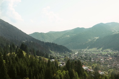 Picturesque landscape with forest and village in mountains