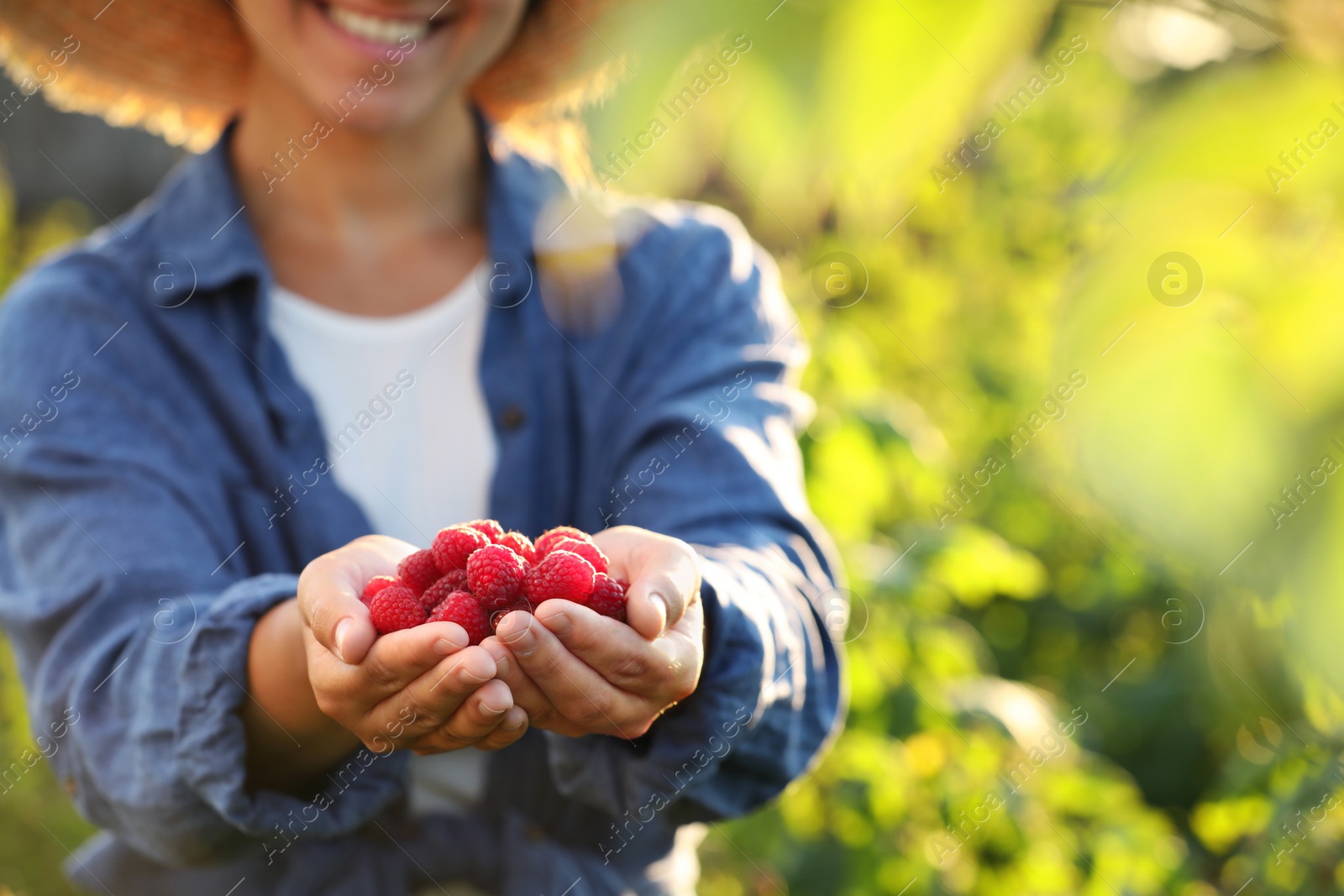 Photo of Woman holding ripe raspberries outdoors, closeup. Space for text