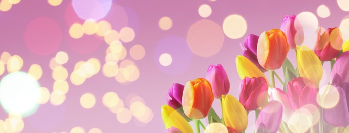 Image of Bouquet of beautiful spring tulips on lilac background, space for text. Banner design