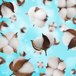 Image of Beautiful cotton flowers falling on light blue background