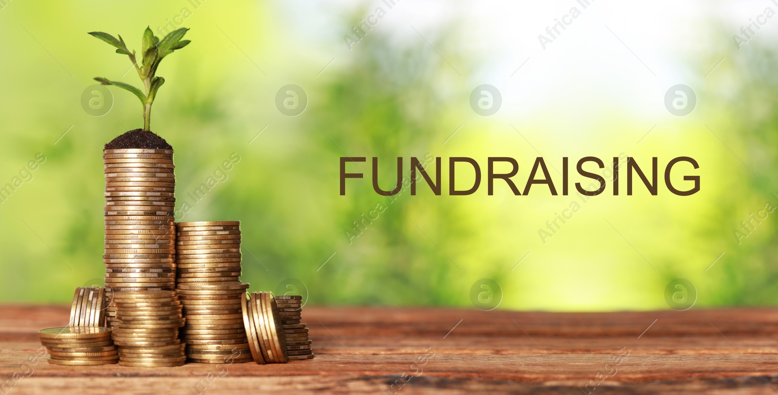 Image of Coins and green sprout on wooden table against blurred background, banner design. Fundraising