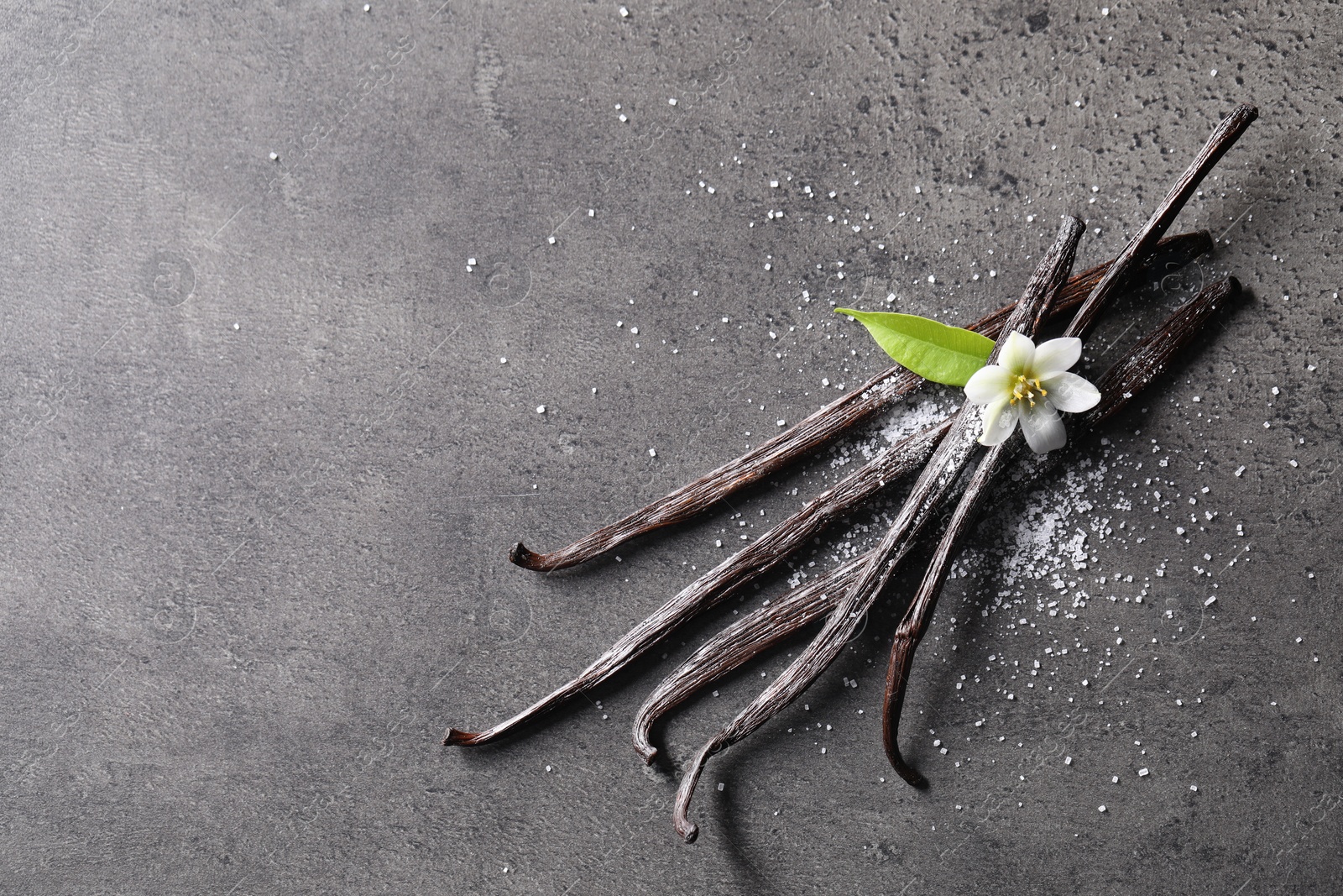 Photo of Vanilla pods, flower, leaf and sugar on grey textured table, top view. Space for text