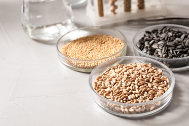 Photo of Petri dishes with seeds samples on light table in laboratory