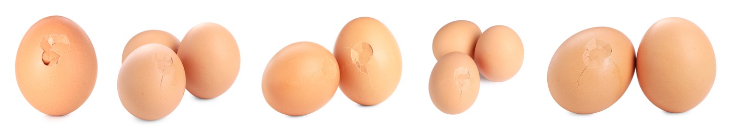 Image of Set of many eggs on white background