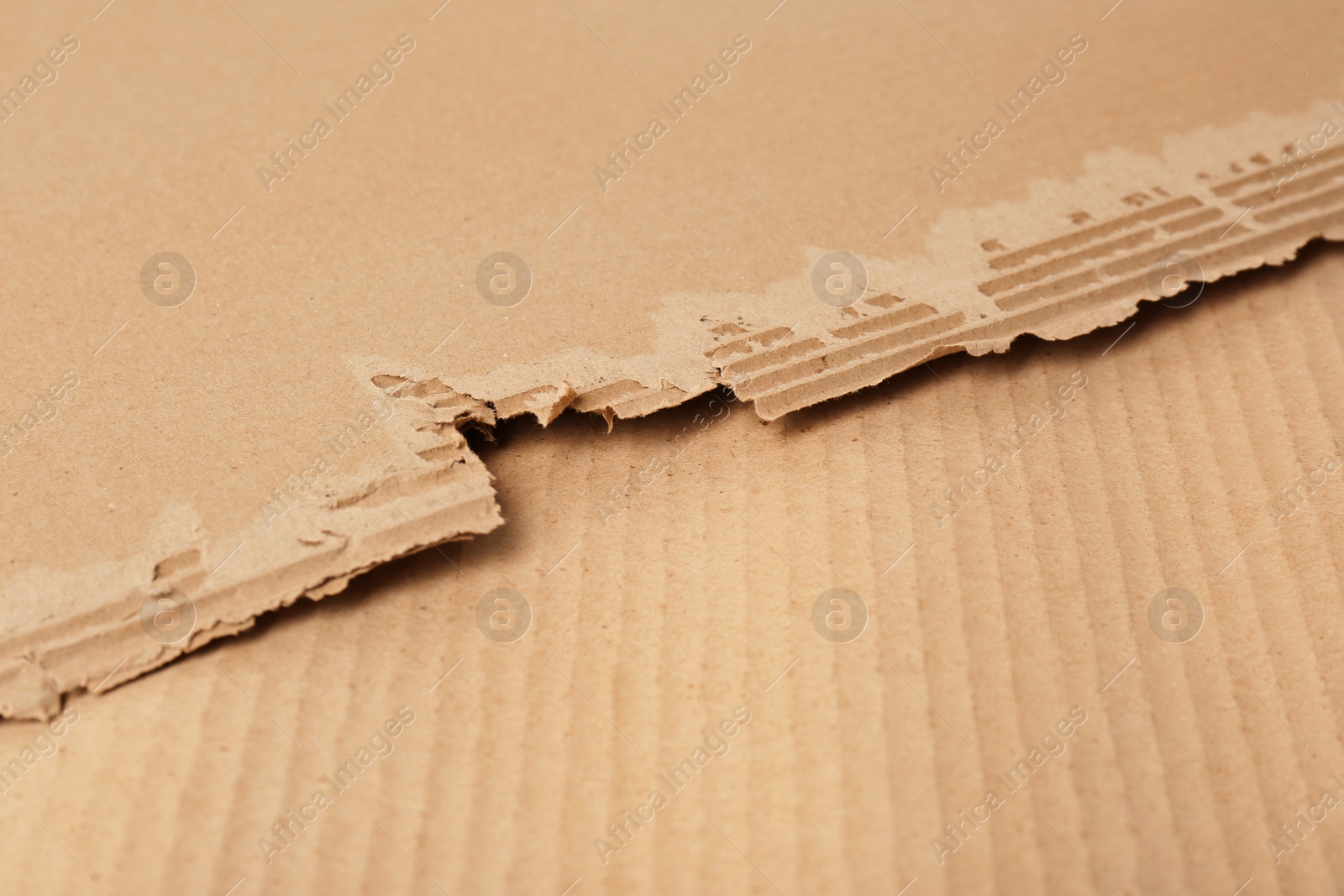 Photo of Corrugated cardboard as background, space for text. Recyclable material