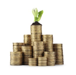 Photo of Stacks of coins and green plant on white background