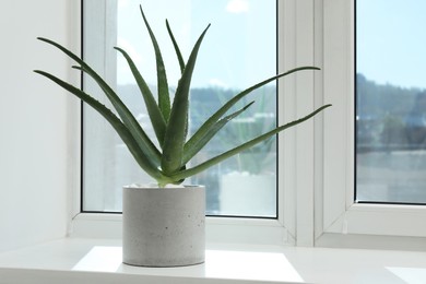 Beautiful potted aloe vera plant on windowsill indoors