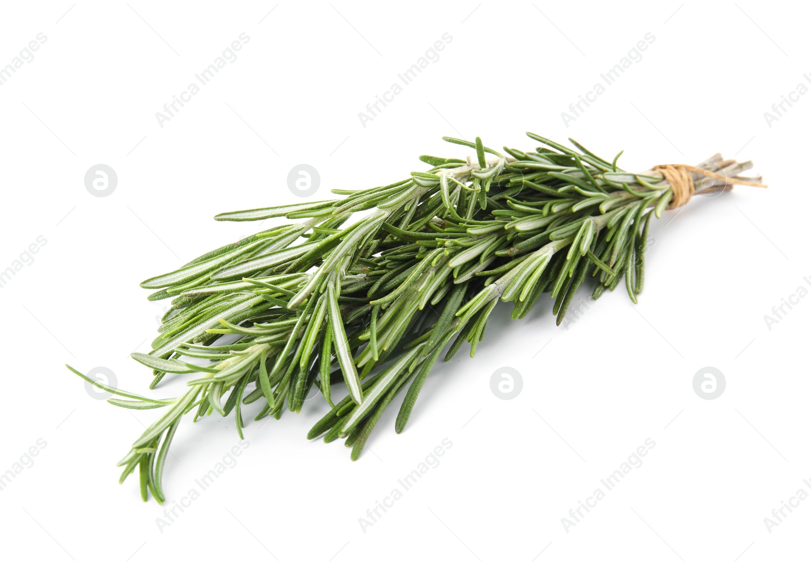 Photo of Bunch of fresh rosemary on white background