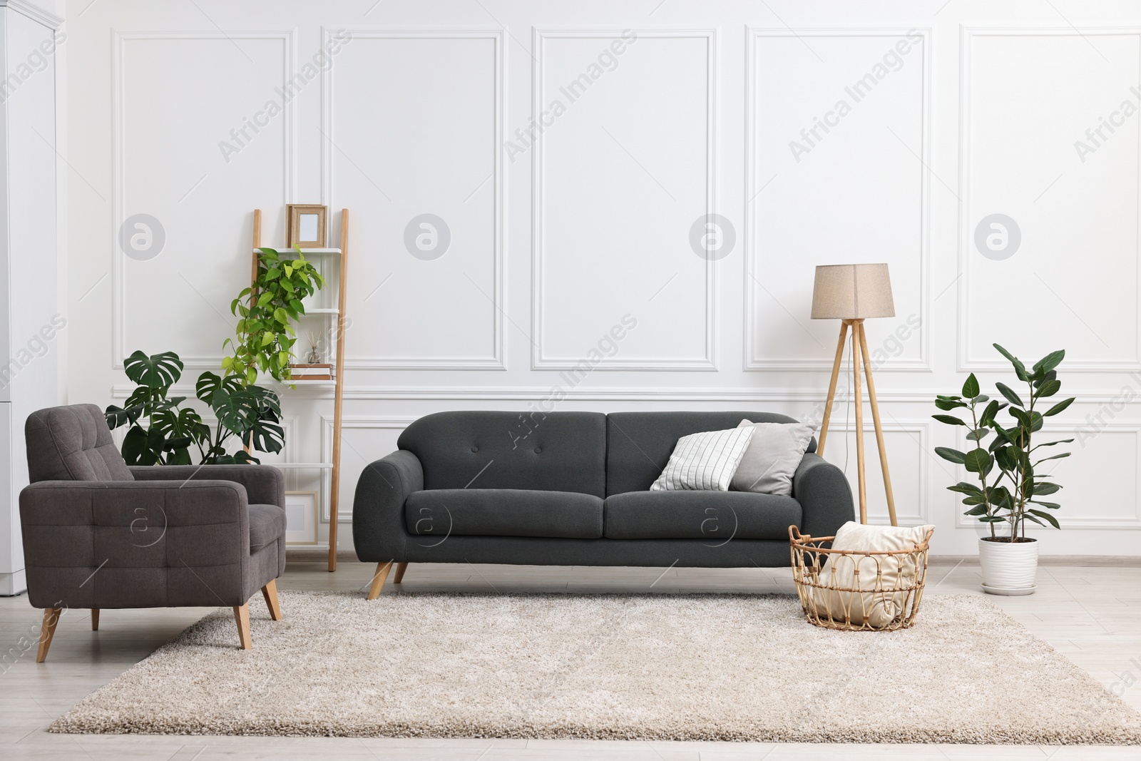 Photo of Beautiful room with stylish furniture and houseplants