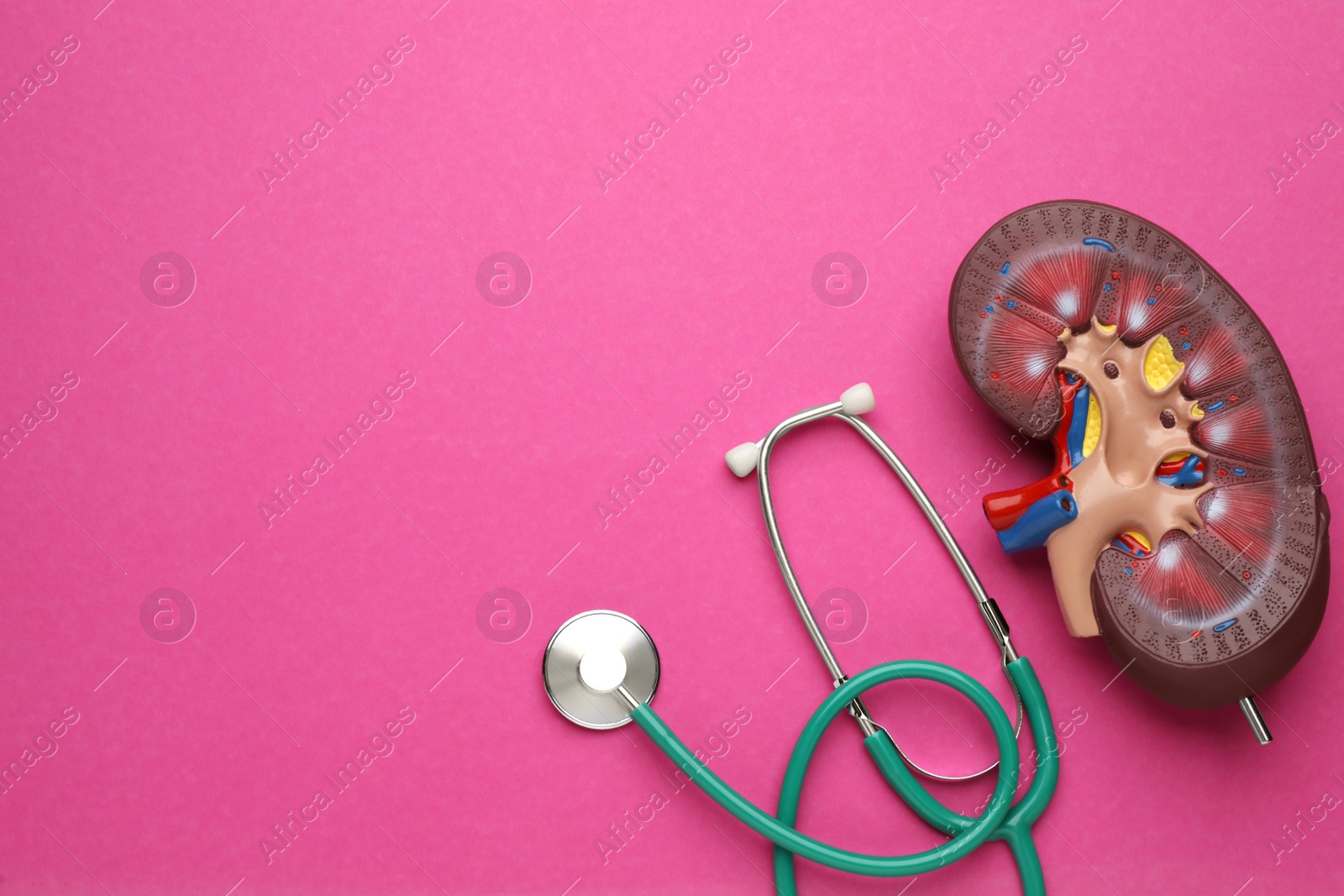 Photo of Kidney model and stethoscope on pink background, flat lay. Space for text