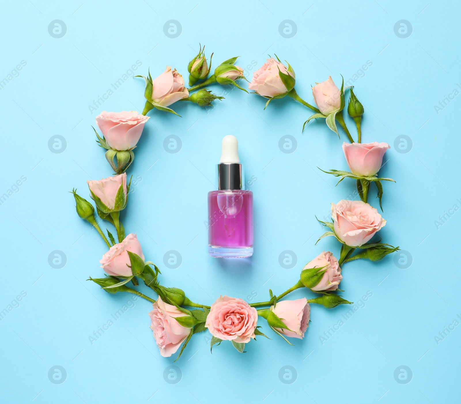 Photo of Flat lay composition with fresh flowers and bottle of rose essential oil on color background