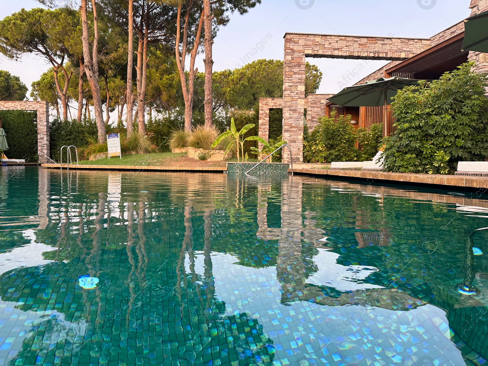 Photo of Swimming pool and exotic plants at luxury resort