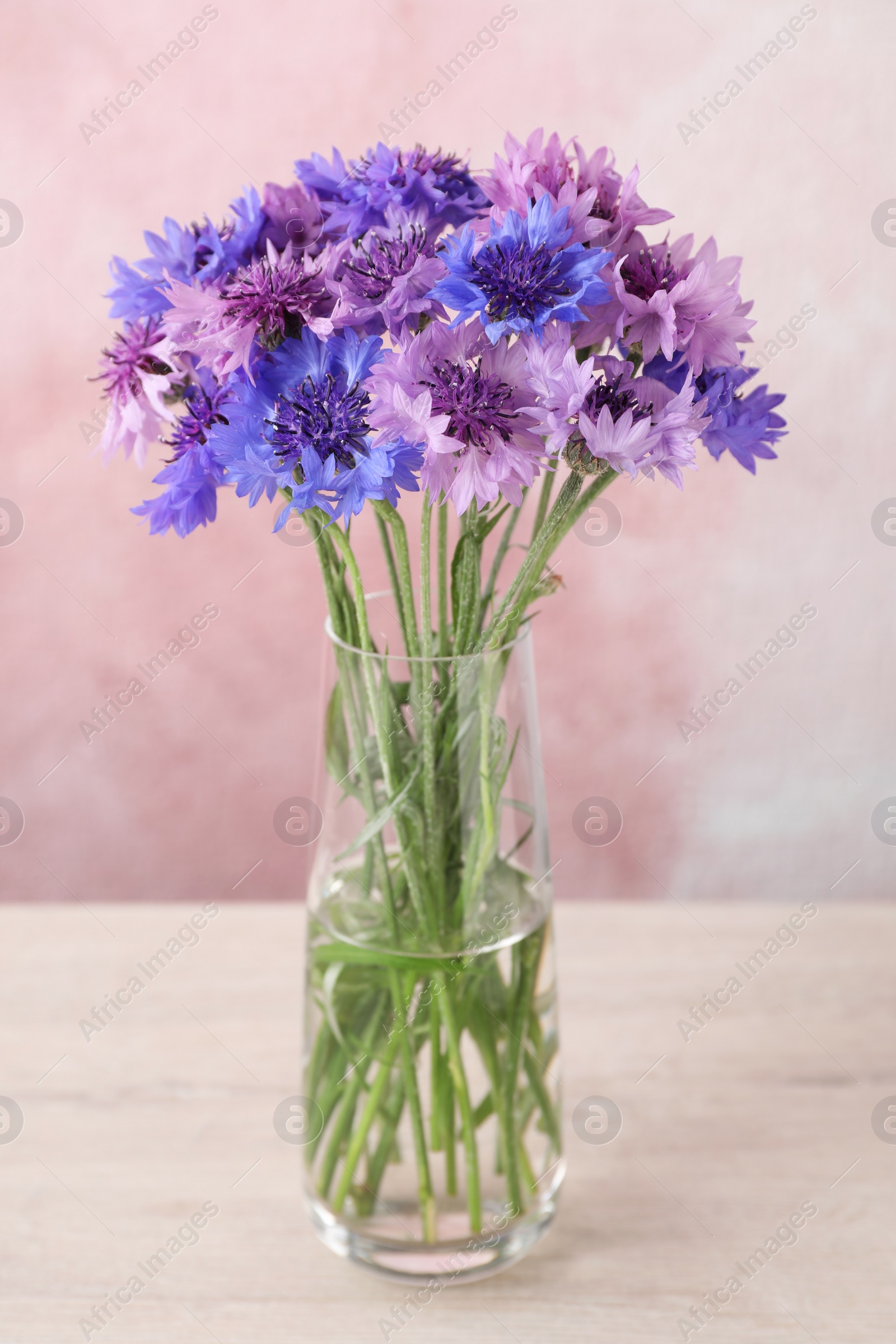 Photo of Bouquet of beautiful cornflowers in glass vase on white wooden table