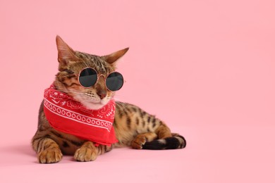 Photo of Cute Bengal cat with sunglasses and red bandana on pink background, space for text