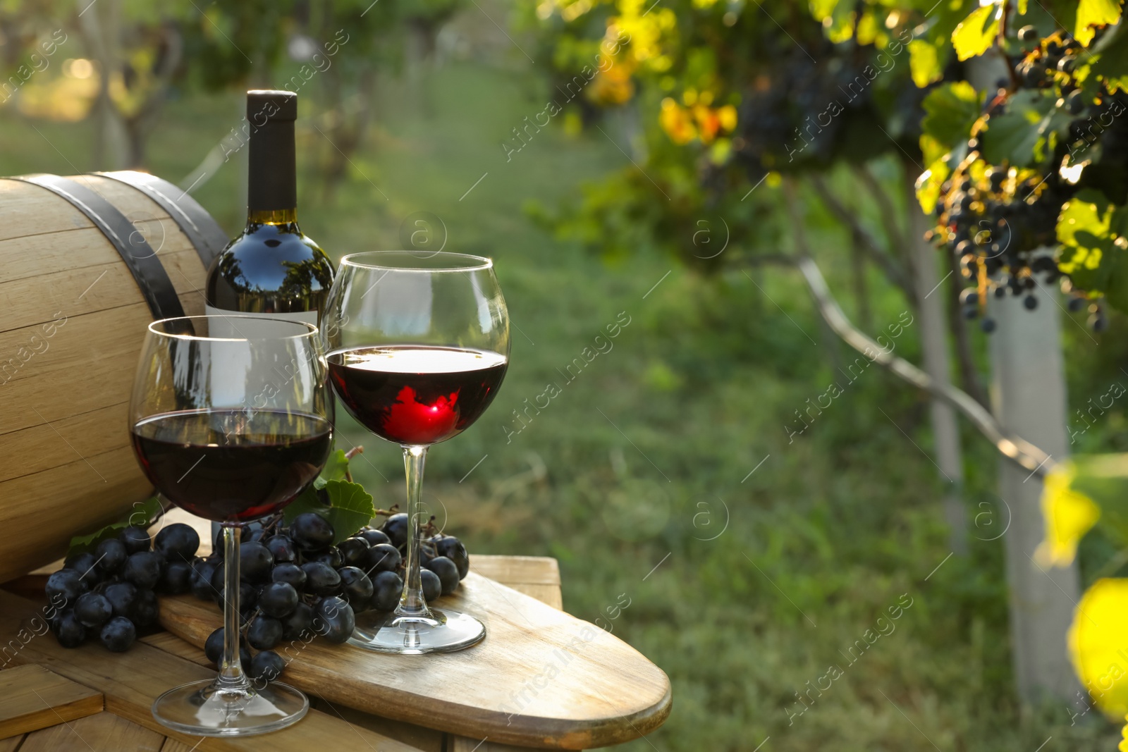 Photo of Composition with wine and ripe grapes on wooden table in vineyard