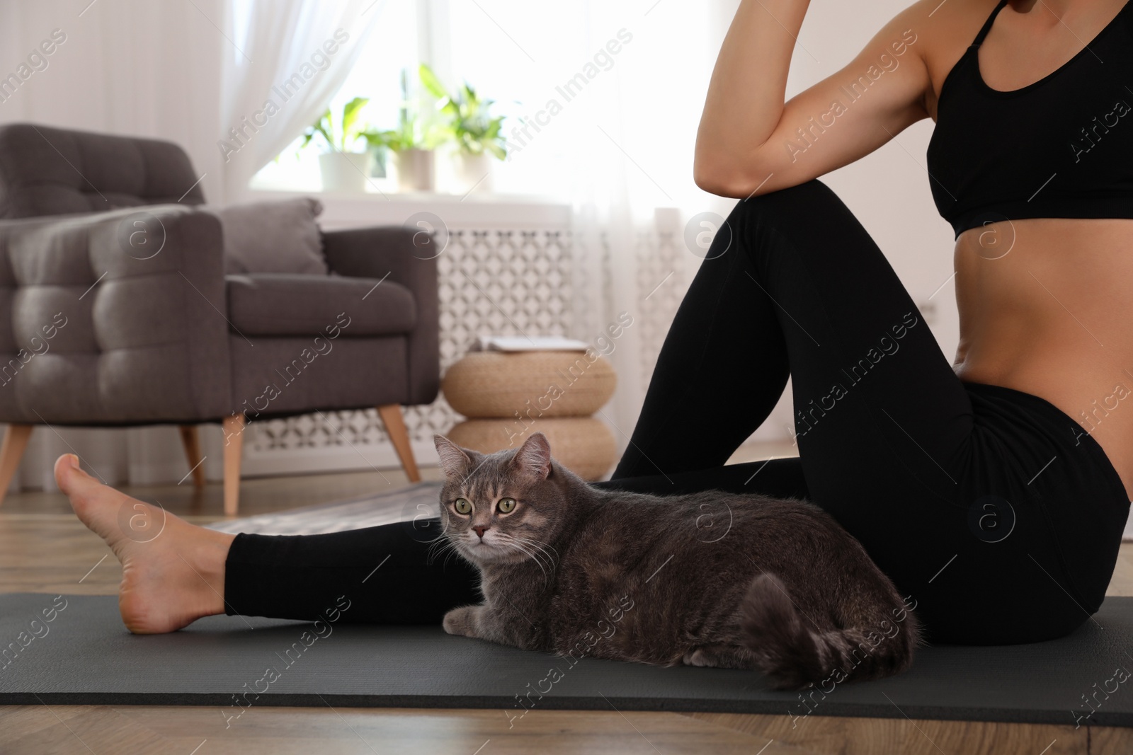 Photo of Beautiful woman practicing yoga near her cat at home, closeup