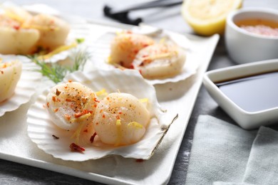 Photo of Raw scallops with spices, dill, lemon zest and shells on grey marble table, closeup