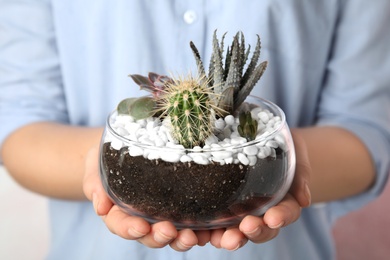 Young woman holding florarium with different succulents on color background, closeup