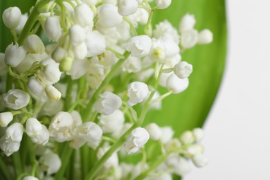 Photo of Beautiful lily of the valley flowers with leaves on light grey background, closeup