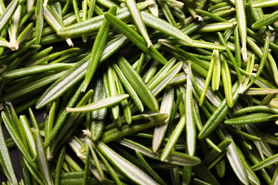 Photo of Fresh green rosemary leaves as background, closeup