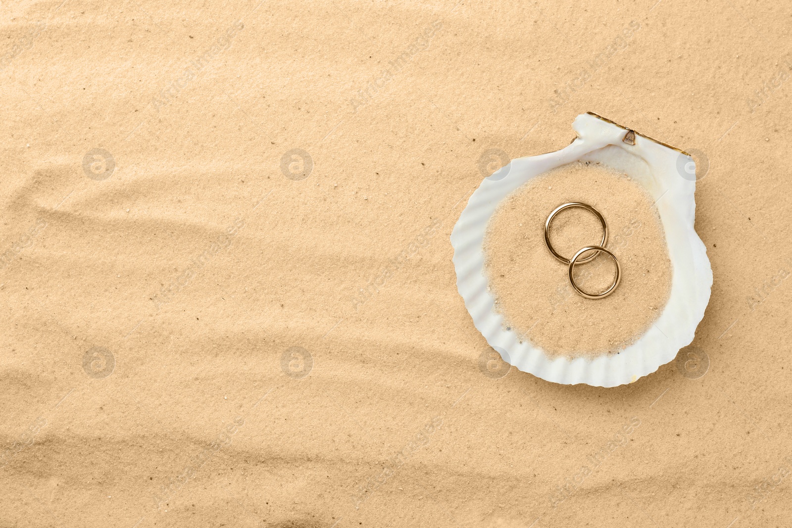 Photo of Honeymoon concept. Two golden rings and shell on sand