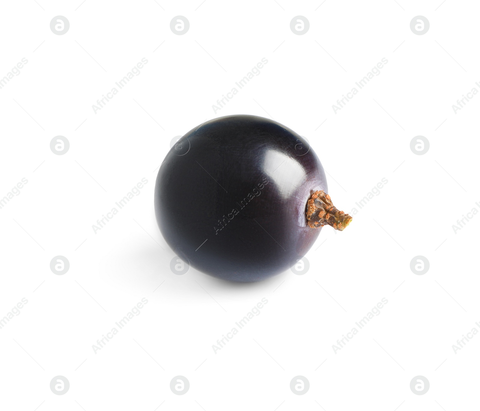 Photo of Delicious ripe dark blue grape isolated on white