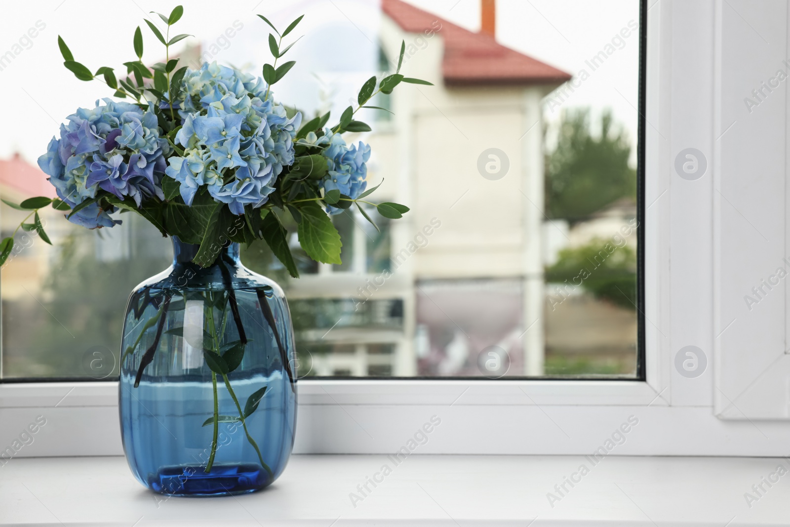 Photo of Beautiful blue hortensia flowers in vase on window sill indoors. Space for text