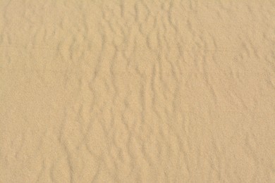 Photo of Beautiful dry beach sand as background, above view