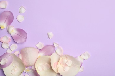 Photo of Beautiful petals on white background, flat lay. Space for text