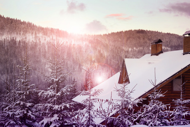 Image of Beautiful snowy forest and cottage on winter day